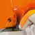 STIHL MS 462 C-M VW /készleten 1db/ - 70 cm³ lökettérfogatú motorfűrész markolatfűtéssel STIHL MS 462 C-M VW /készleten 1db/ - 70 cm³ lökettérfogatú motorfűrész markolatfűtéssel